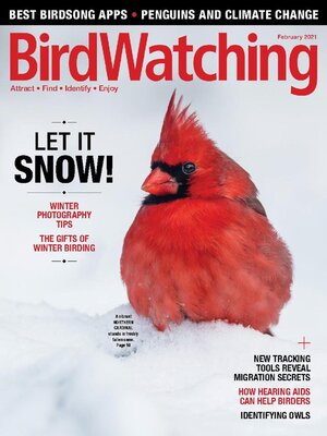 cover image of BirdWatching